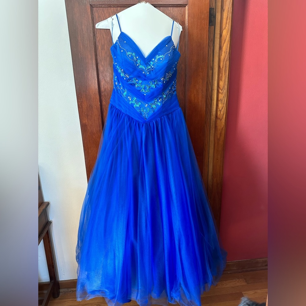 Prom/Quinceanera Dress